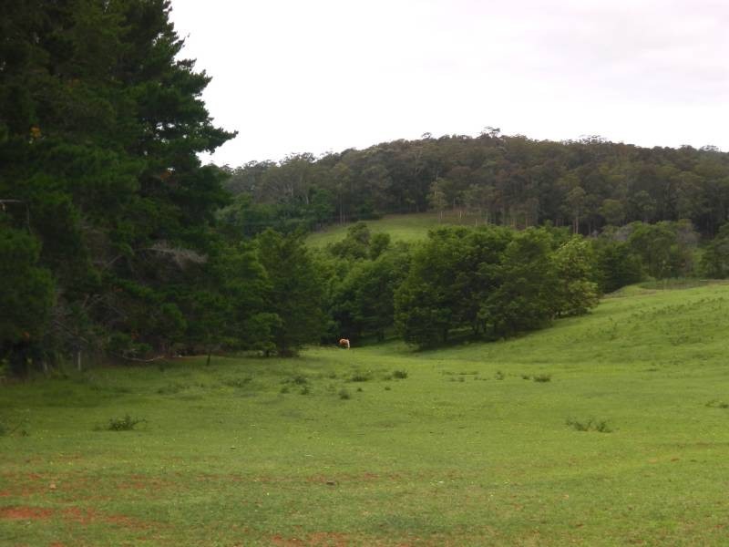 Lot 3/520 Dunns Creek Road, Malua Bay NSW 2536