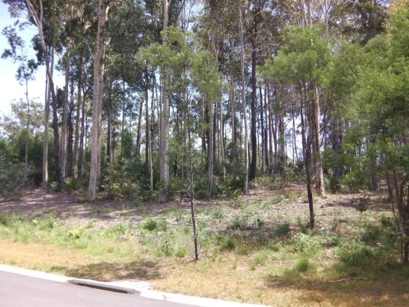 64 Litchfield Crescent, Long Beach NSW 2536