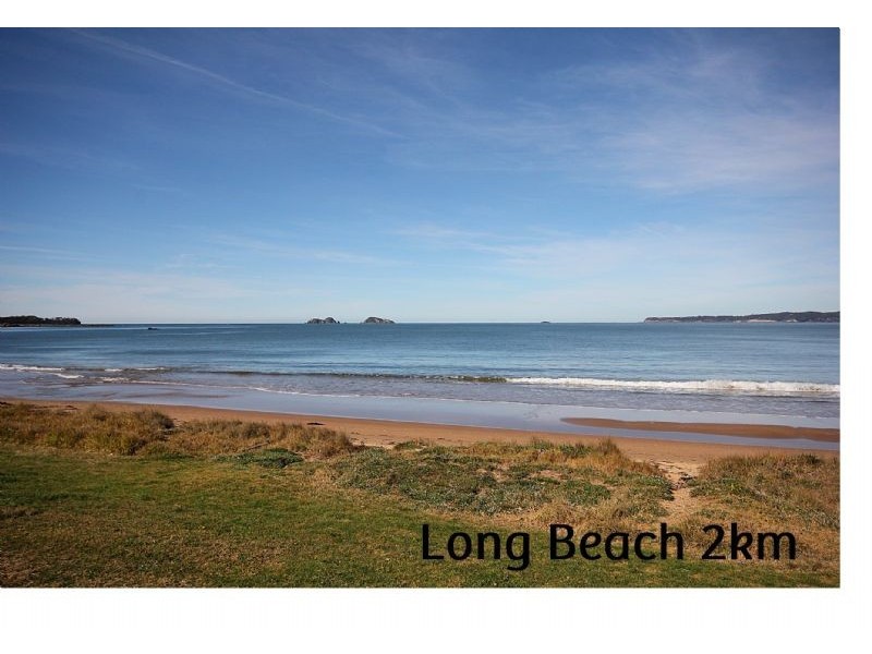 64 Litchfield Crescent, Long Beach NSW 2536