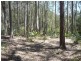 Lot 54 Sandy Place, Long Beach NSW 2536