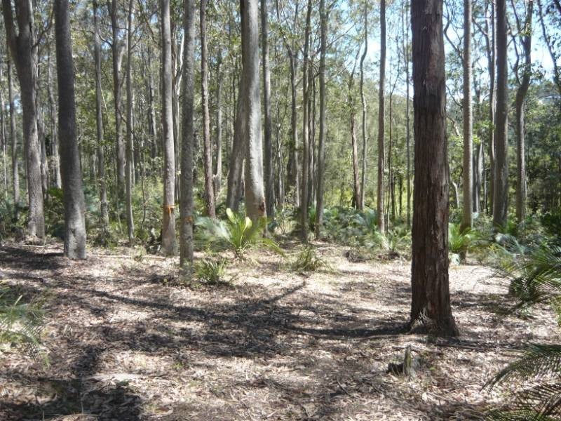 Lot 54 Sandy Place, Long Beach NSW 2536