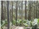Lot 54 Sandy Place, Long Beach NSW 2536