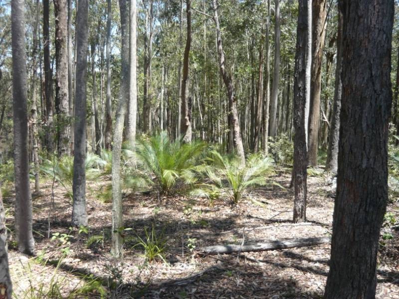 Lot 54 Sandy Place, Long Beach NSW 2536