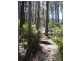 Lot 54 Sandy Place, Long Beach NSW 2536
