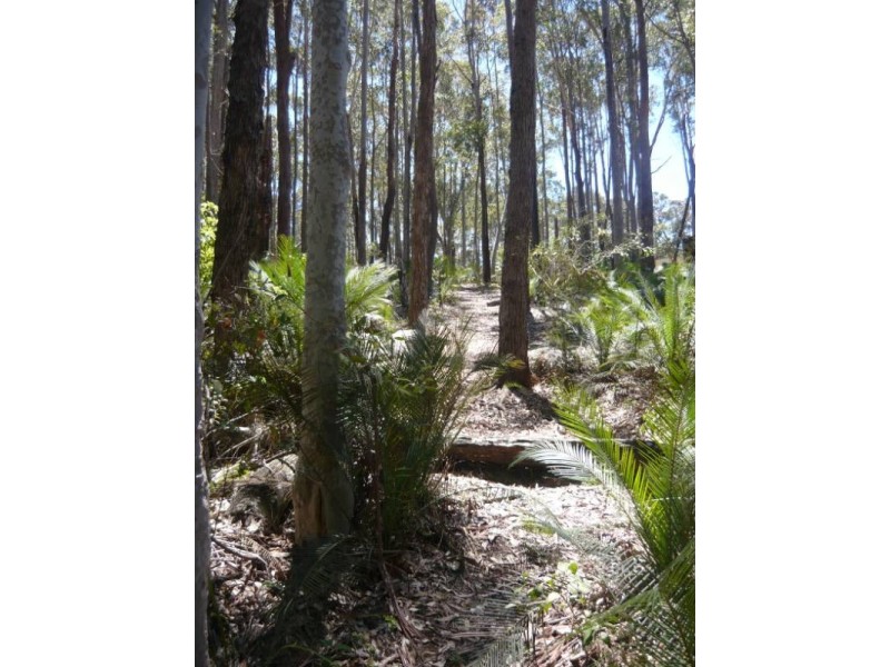 Lot 54 Sandy Place, Long Beach NSW 2536