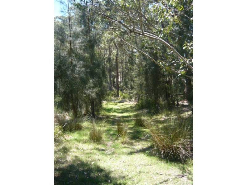 Lot 54 Sandy Place, Long Beach NSW 2536