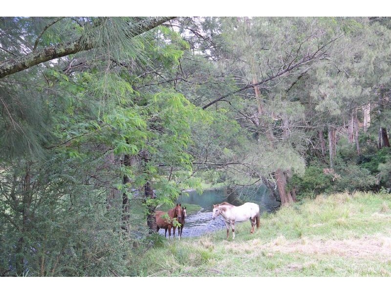 Lot 12 Kings Highway, Nelligen NSW 2536