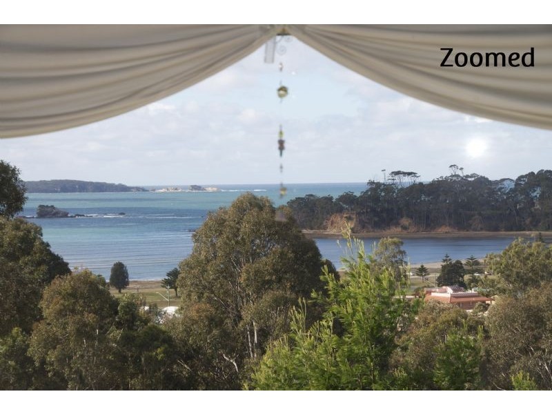 19 Calga Crescent, Catalina NSW 2536