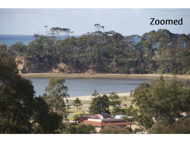 19 Calga Crescent, Catalina NSW 2536