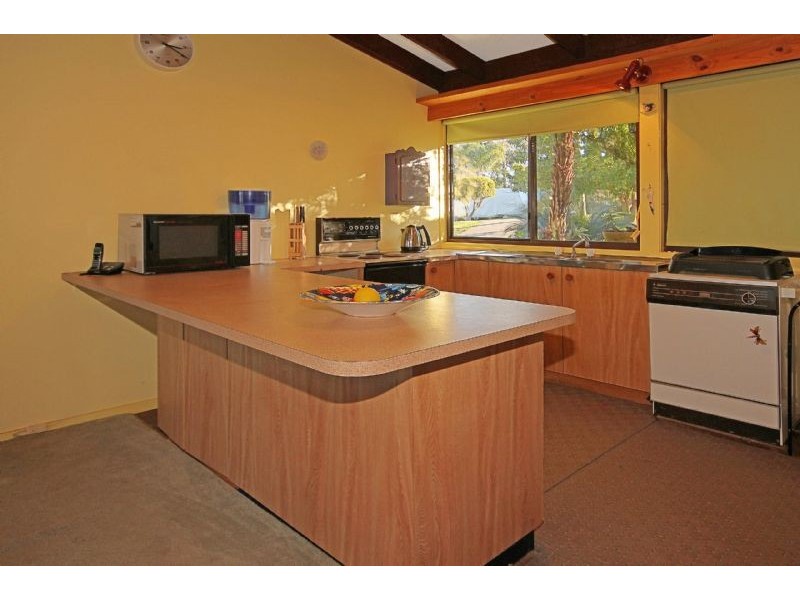 19 Calga Crescent, Catalina NSW 2536