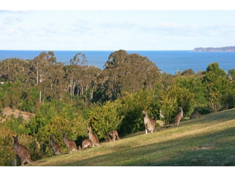 110 Blairs Road, Long Beach NSW 2536