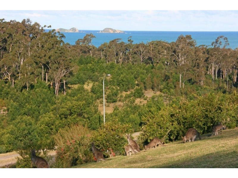 110 Blairs Road, Long Beach NSW 2536