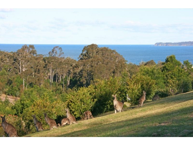 110 Blairs Road, Long Beach NSW 2536