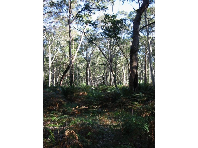 Lot 4 Fern Drive, South Durras NSW 2536