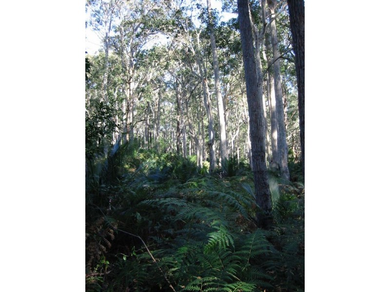 Lot 4 Fern Drive, South Durras NSW 2536