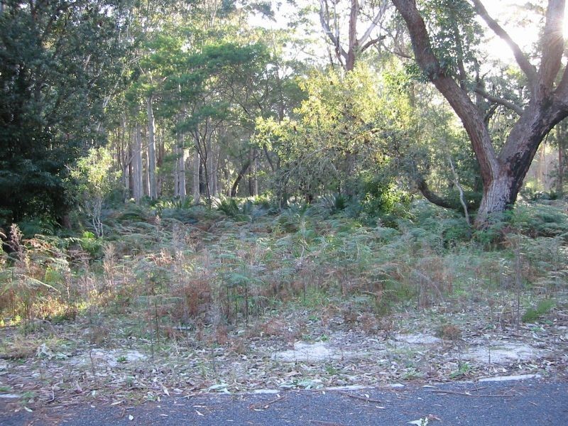 Lot 4 Fern Drive, South Durras NSW 2536