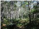 Lot 4 Fern Drive, South Durras NSW 2536