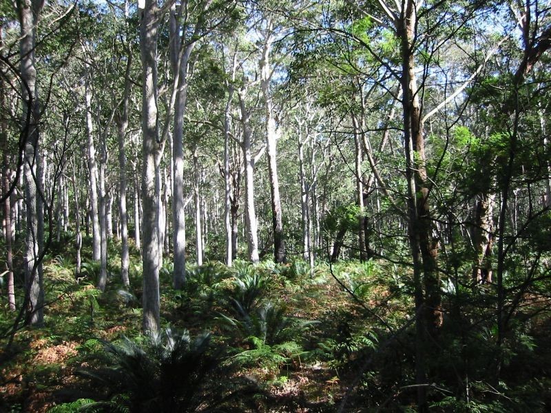 Lot 4 Fern Drive, South Durras NSW 2536