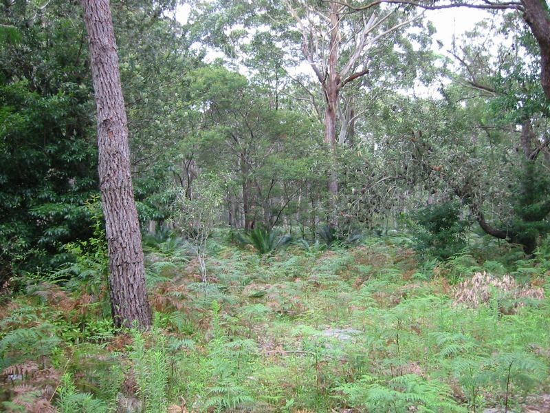 Lot 4 Fern Drive, South Durras NSW 2536