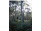 Lot 4 Fern Drive, South Durras NSW 2536