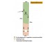 Lot 2 Brushbox Place, Sunshine Bay NSW 2536