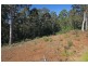 Lot 16 Woodlot Place, Sunshine Bay NSW 2536