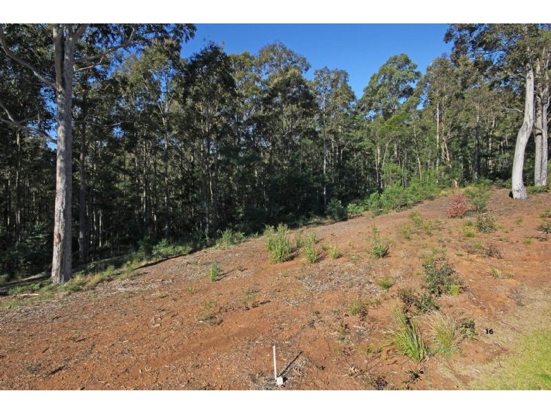 Lot 16 Woodlot Place, Sunshine Bay NSW 2536