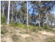 99 Litchfield Crescent, Long Beach NSW 2536
