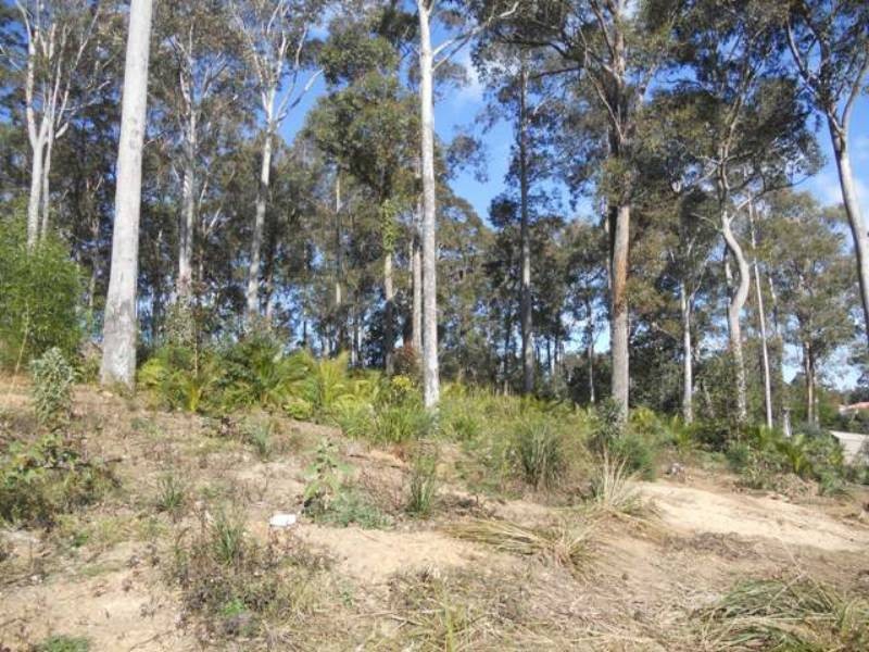 99 Litchfield Crescent, Long Beach NSW 2536