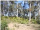 99 Litchfield Crescent, Long Beach NSW 2536