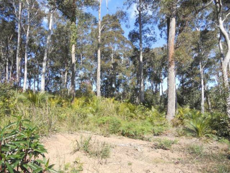 99 Litchfield Crescent, Long Beach NSW 2536
