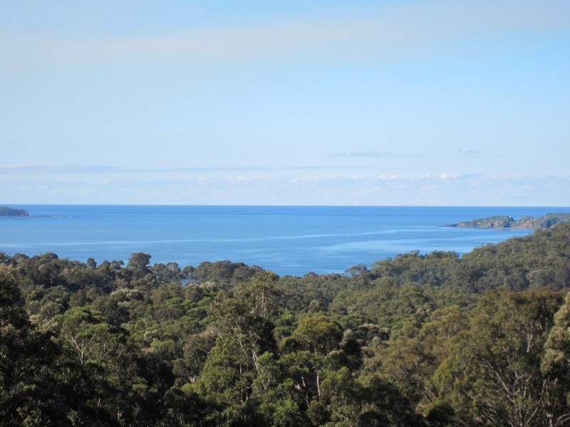 593 The Ridge Road, Surf Beach NSW 2536