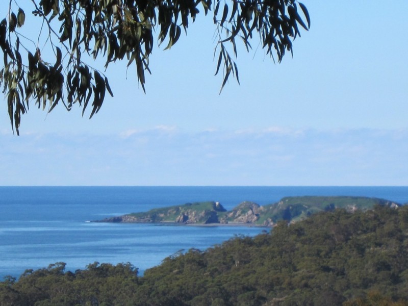 593 The Ridge Road, Surf Beach NSW 2536