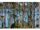 19 Fauna Avenue, Long Beach NSW 2536