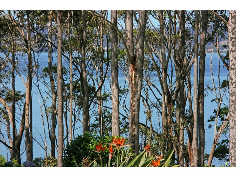 19 Fauna Avenue, Long Beach NSW 2536