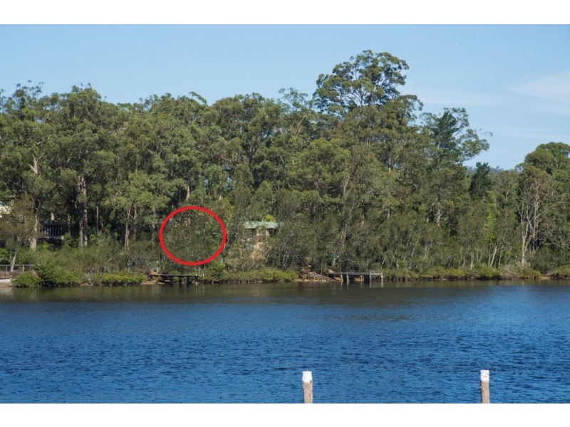 31 Sproxtons Lane, Nelligen NSW 2536