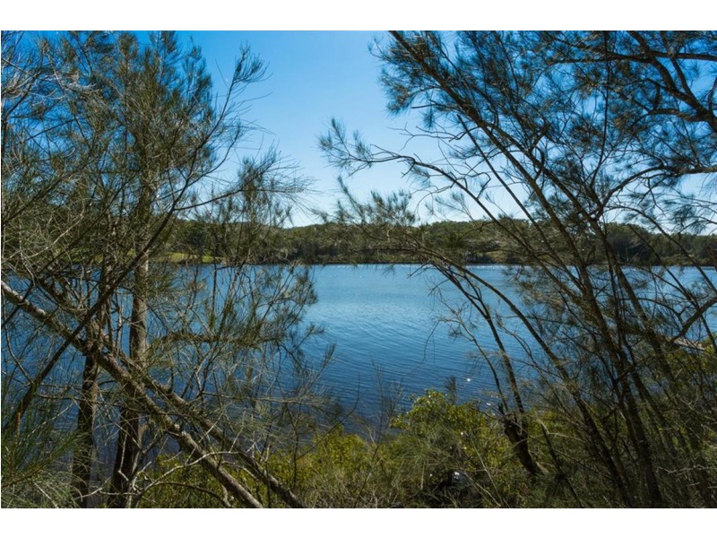 31 Sproxtons Lane, Nelligen NSW 2536