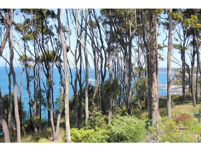 199 Beach Road, Denhams Beach NSW 2536