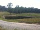 Lot 14 and 164 Old Bolaro Road, Nelligen NSW 2536