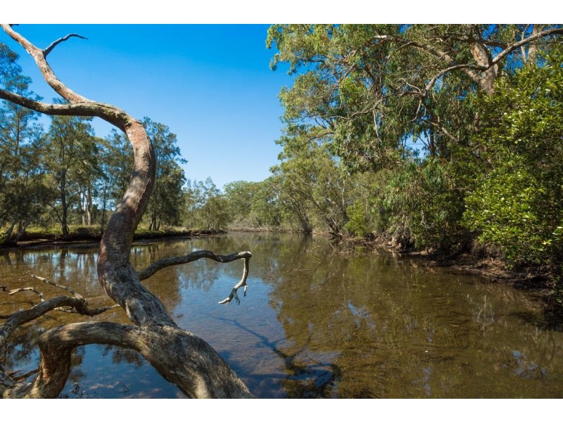 Lot 24 Jeremadra Grove, Jeremadra NSW 2536