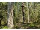 Lot 24 Jeremadra Grove, Jeremadra NSW 2536