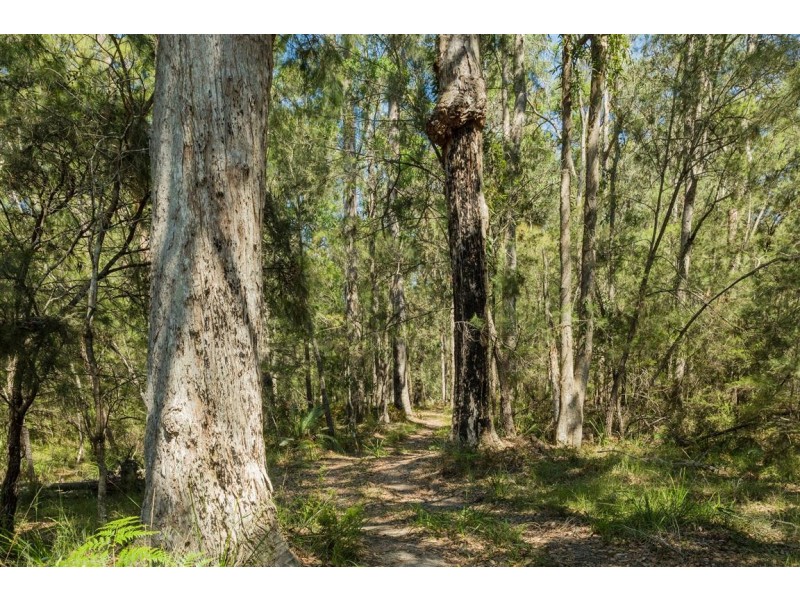 Lot 24 Jeremadra Grove, Jeremadra NSW 2536