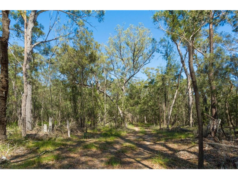 Lot 24 Jeremadra Grove, Jeremadra NSW 2536