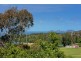 7 Ridge Street, Catalina NSW 2536
