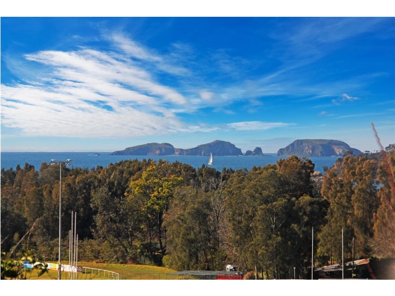 7 Ridge Street, Catalina NSW 2536