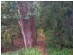 27 Long Beach Road, Long Beach NSW 2536