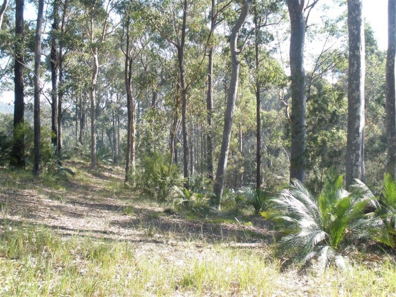 Lot 42 Grandfathers Gully Rd, Lilli Pilli NSW 2536