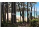 8 Depot Beach Road, Depot Beach NSW 2536
