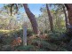 Lot 101 Durras Lake Road, South Durras NSW 2536