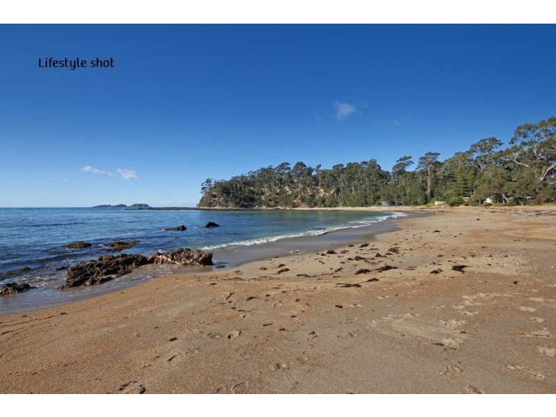 9/11 Beechwood Court, Sunshine Bay NSW 2536